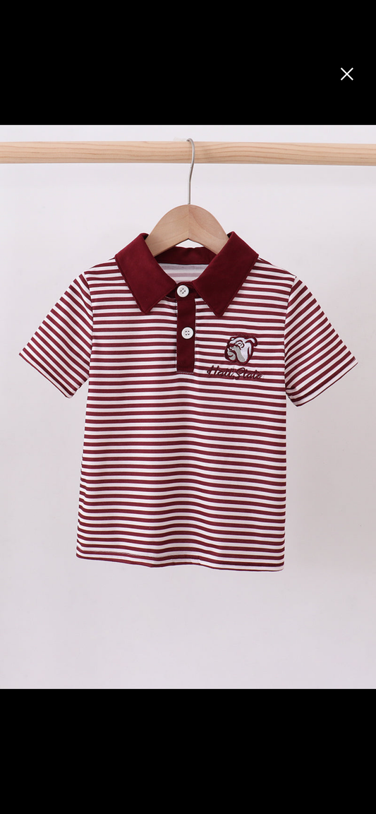 State boys polo